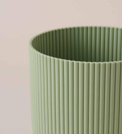 Mint Pot with Self-Watering Insert (18cm)