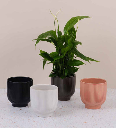 Textured Ribbed Ceramic Pot Ribbed Ceramic Pot