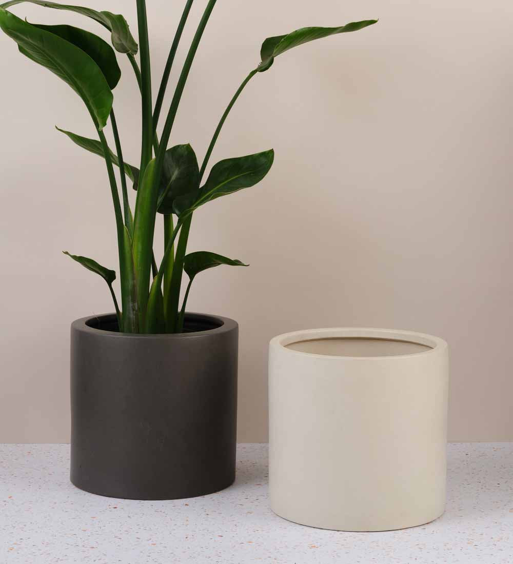 Earthenware Pot (25cm) (2 Colours)