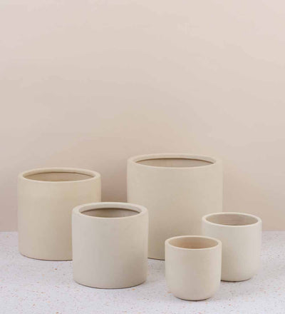 Oyster Earthenware Pot