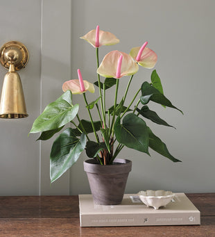 Artificial Pink Anthurium