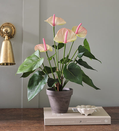 Artificial Pink Anthurium