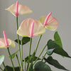 Artificial Pink Anthurium