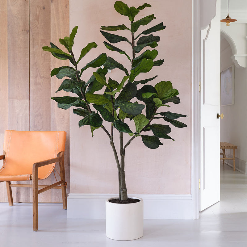 Artificial Fiddle-leaf Fig Tree