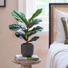 Artificial Fiddle-leaf Fig