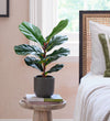 Artificial Fiddle-leaf Fig Tree