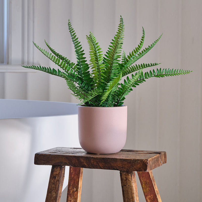 Artificial Boston Fern