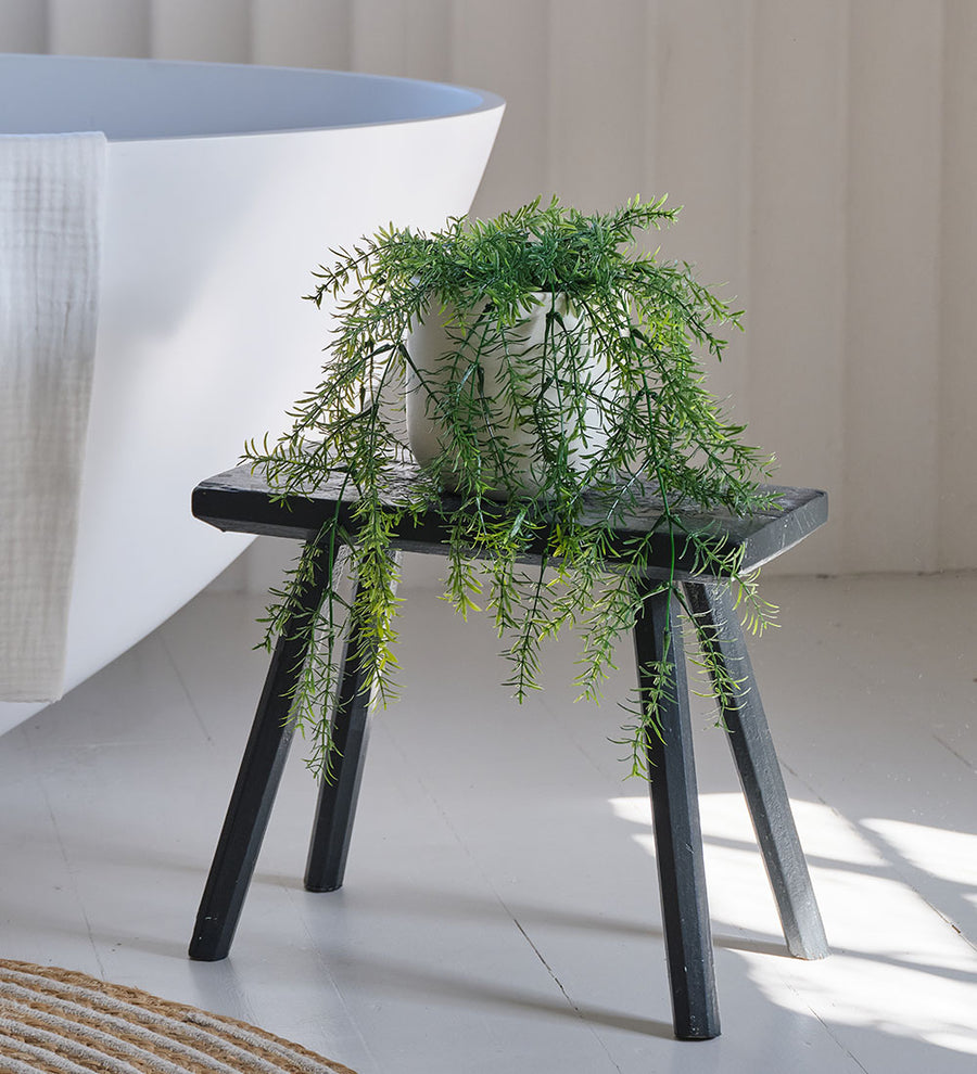 Artificial Asparagus Hanging