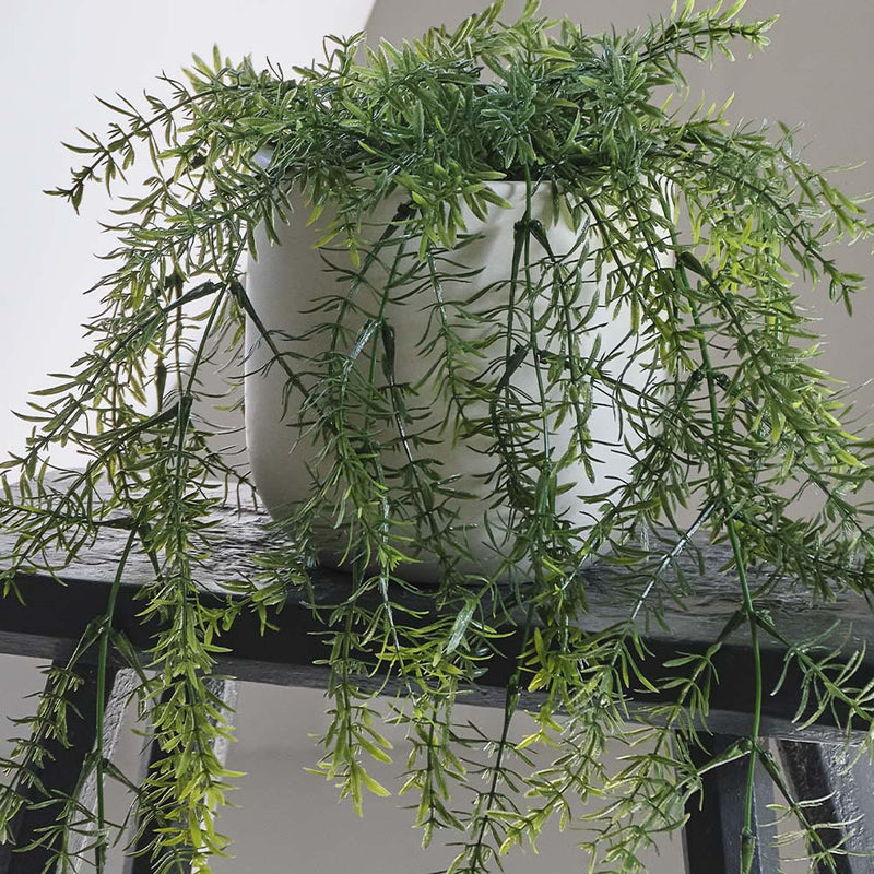 Artificial Asparagus Hanging