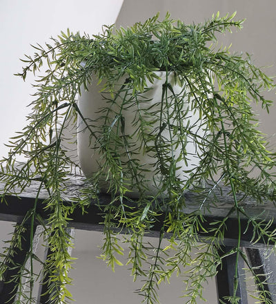 Artificial Asparagus Hanging