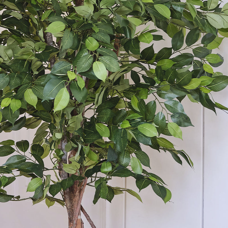 Artificial African Fig Tree