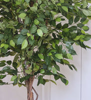 Artificial African Fig Tree