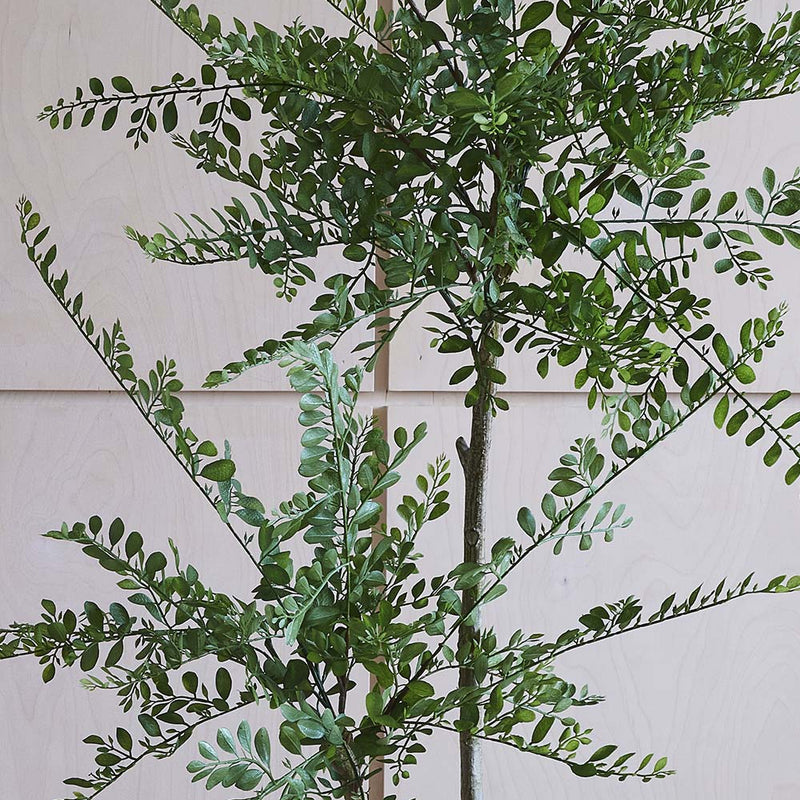 Artificial Sophora Tree