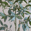 Artificial Eucalyptus Globulus