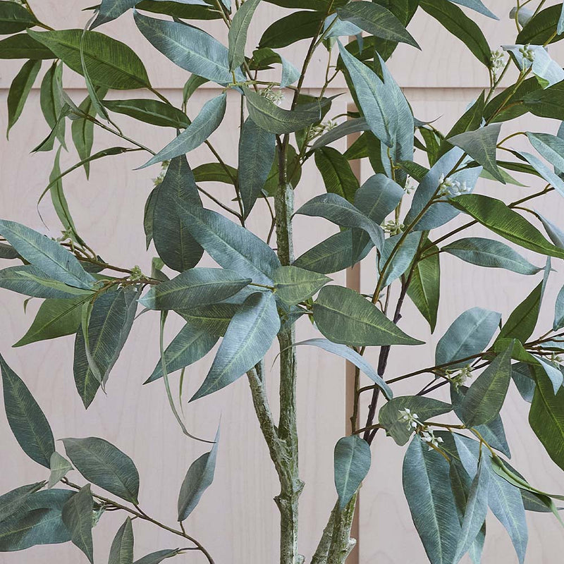 Artificial Eucalyptus Globulus