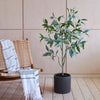Artificial Eucalyptus Globulus