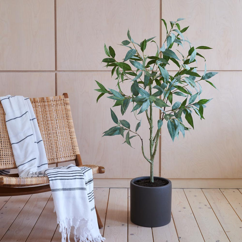 Artificial Eucalyptus Globulus
