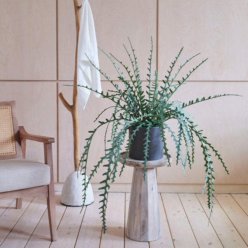 Artificial Fishbone Cactus