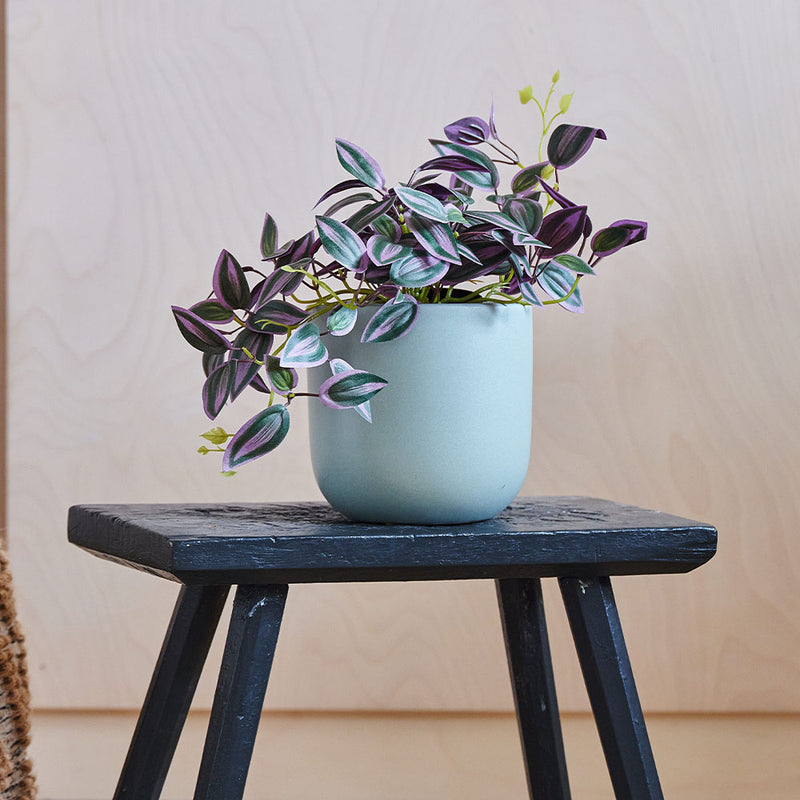 Artificial Tradescantia