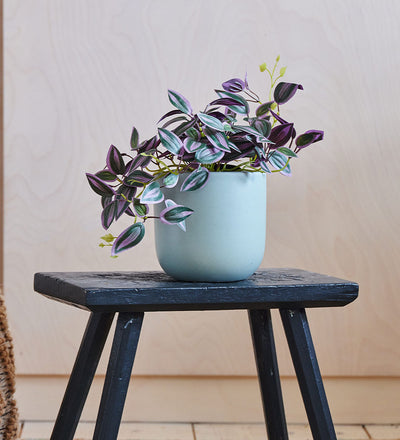 Artificial Tradescantia