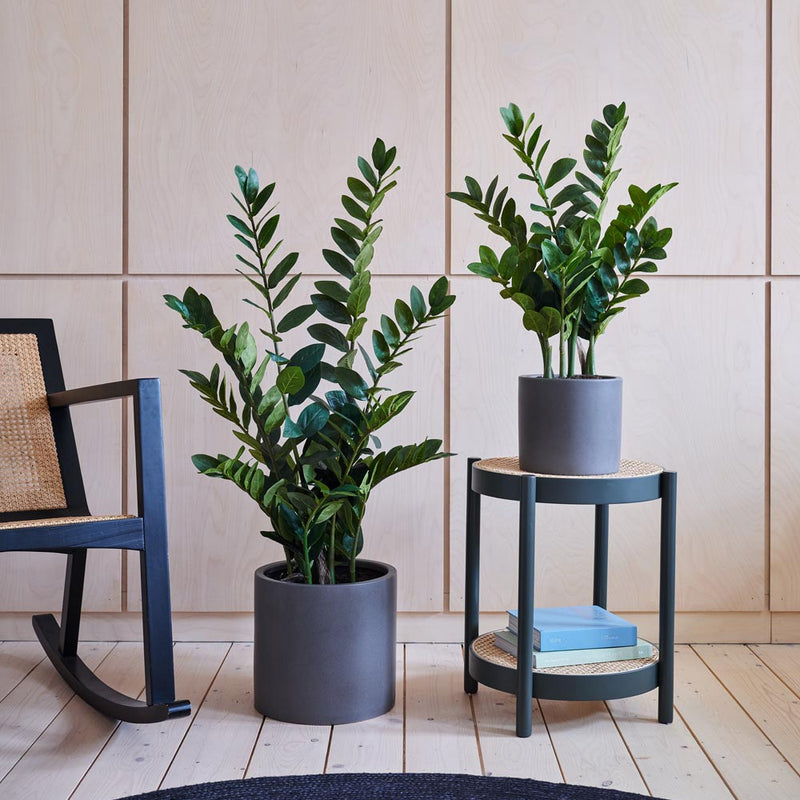 Artificial ZZ Plant