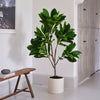 Artificial Frangipani Tree