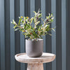 Artificial Olive Plant