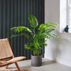 Artificial Parlour Palm