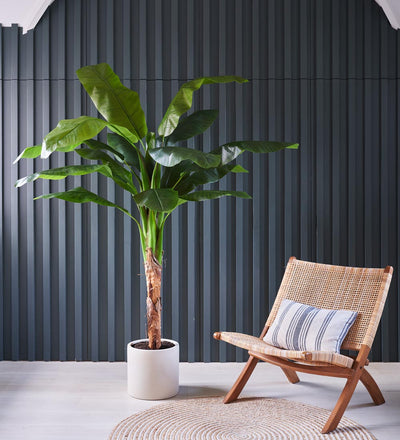 Artificial Banana Tree