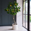 Artificial Lemon Tree