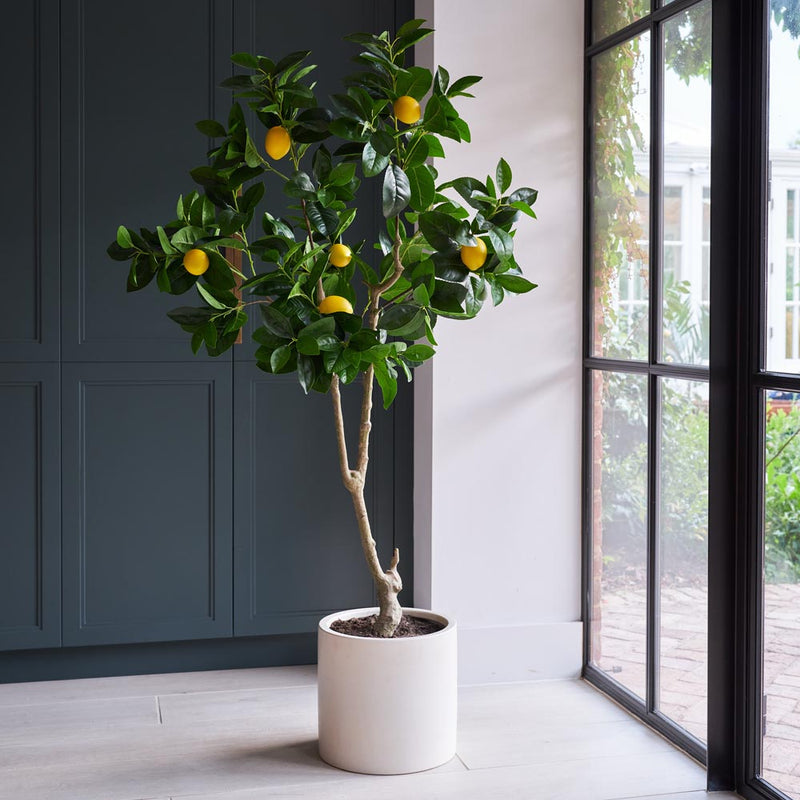 Artificial Lemon Tree