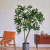 Artificial Pachira (Twisted Stem)
