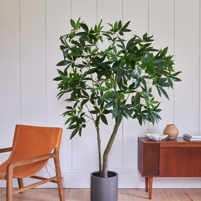 Artificial Pachira (Twisted Stem)