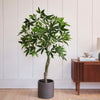 Artificial Money Tree