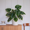 Artificial Swiss Cheese Plant