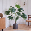 Artificial Livistona Palm