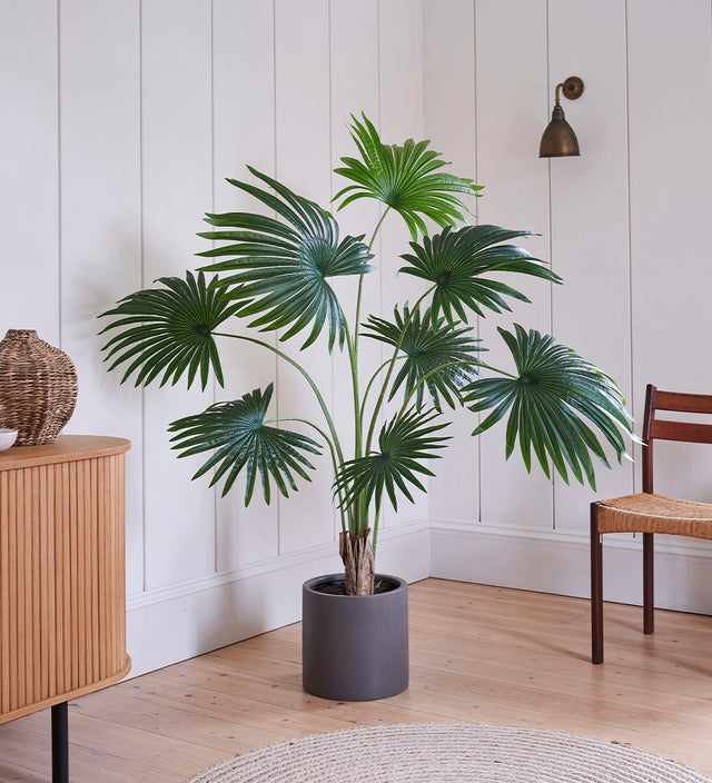 Artificial Livistona Palm