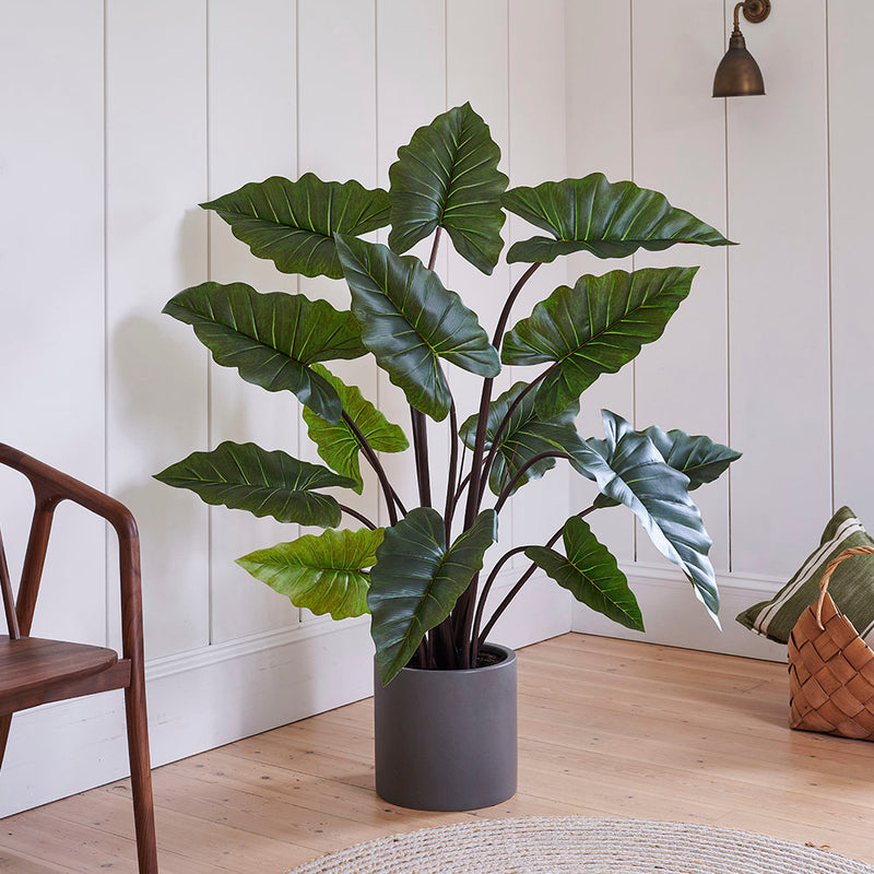 Artificial Alocasia Colocasia