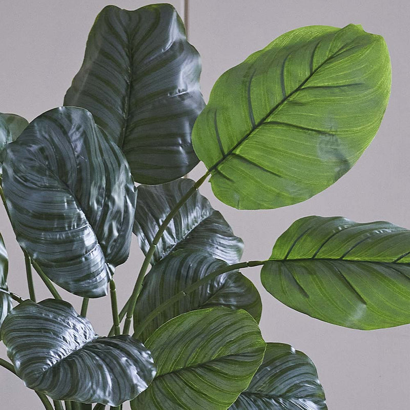 Artificial Calathea Orbifolia