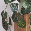 Artificial Anthurium