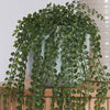 Artificial Ficus Pumila Hanging