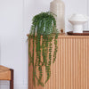 Artificial Ficus Pumila Hanging