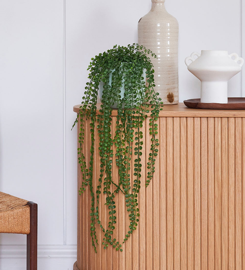 Artificial Ficus Pumila Hanging