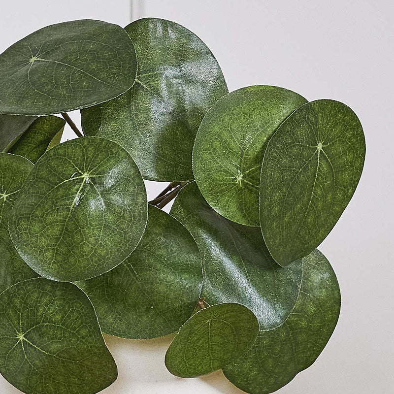 Artificial Money Plant
