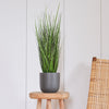 Artificial Grass Bush