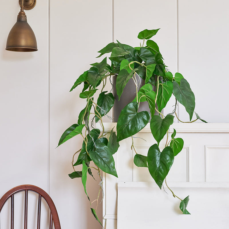 Artificial Philodendron