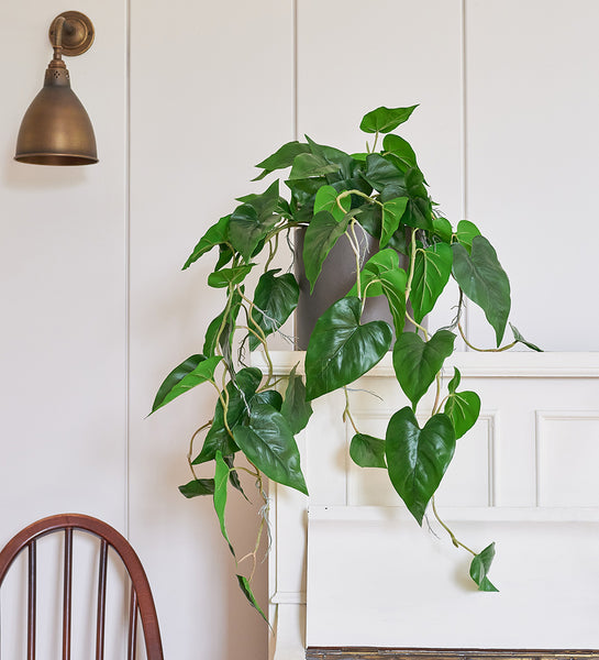 fake philodendron leaves Artificial Philodendron