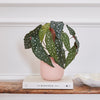 Artificial Polka Dot Begonia