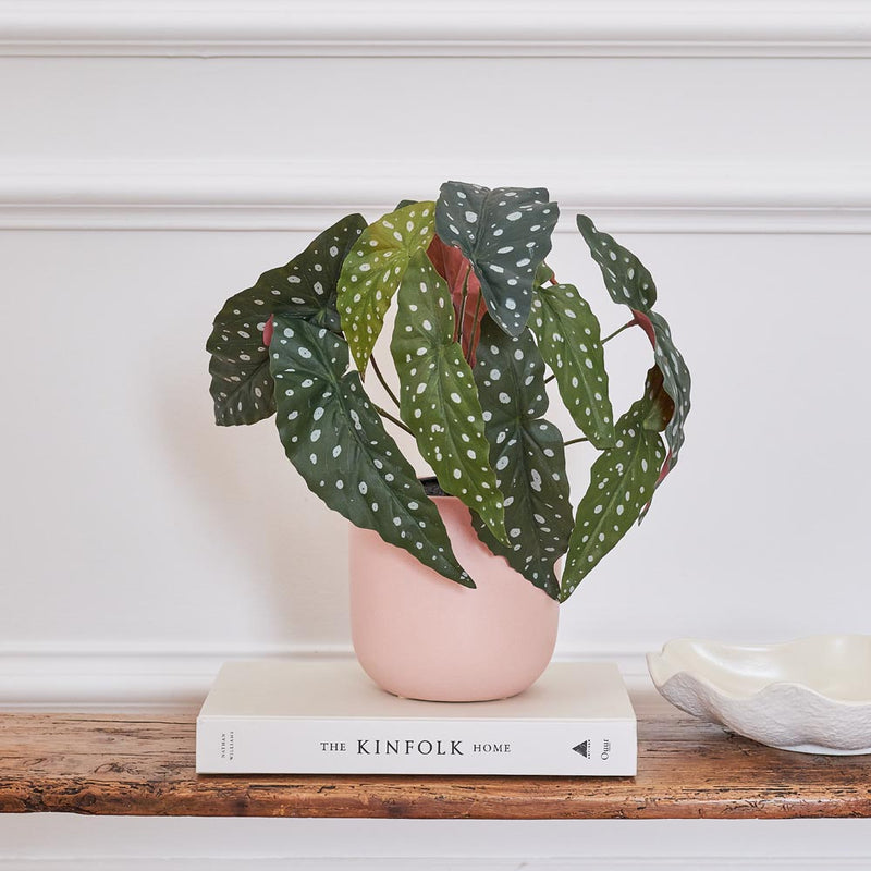 Artificial Polka Dot Begonia