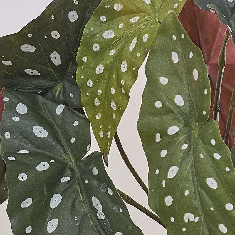Artificial Polka Dot Begonia
